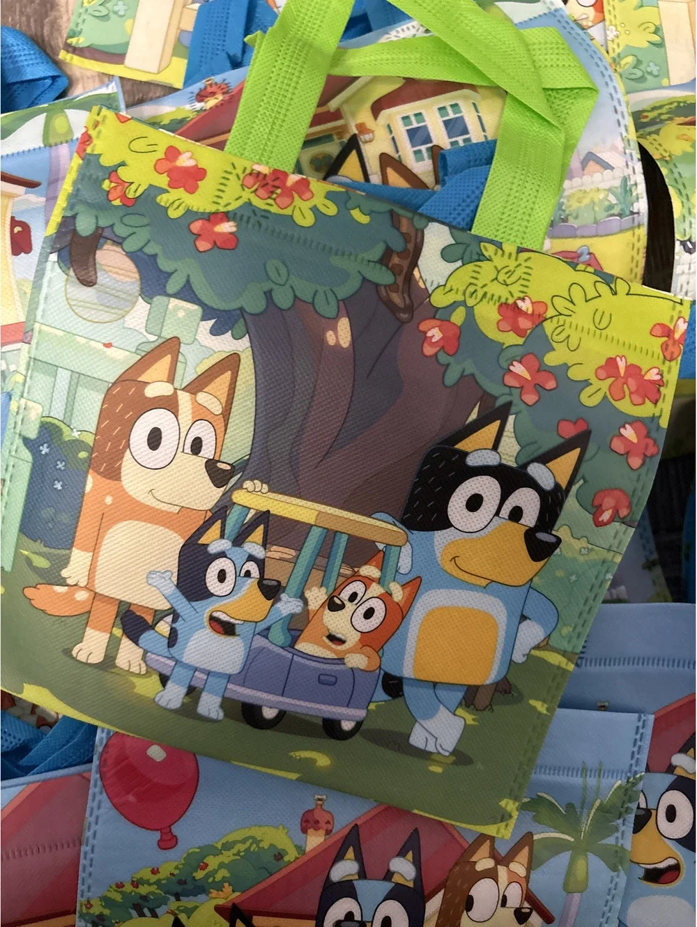 20-Pack Bluey Party Goodie Favor Bags
